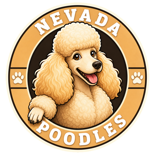 Nevada Poodles